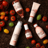 Premium Tomato Whitening Emulsion